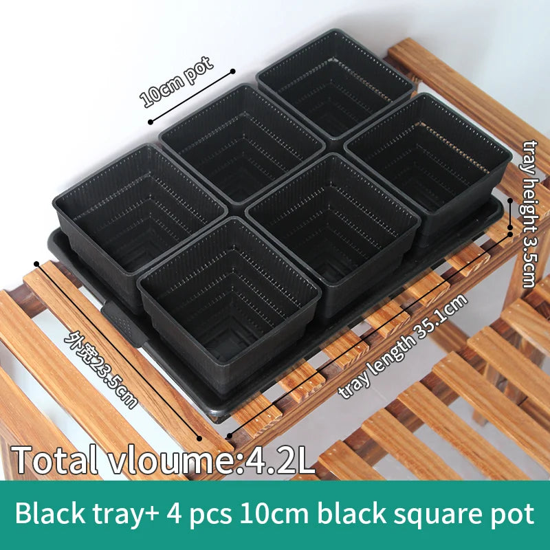 lot pot succulentes plastique blanc moderne trous drainage aération plantes maison