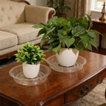 plateau drainage fleurs transparent rond gravé moderne rangement déchets maison jardin