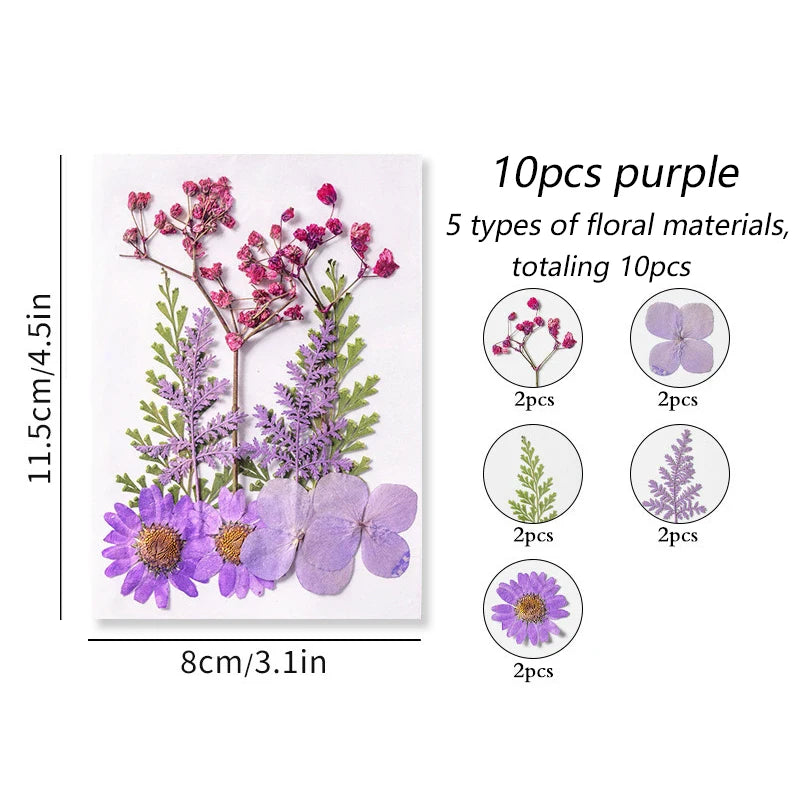 fleurs séchées plantes écologiques intérieur anniversaire baby shower exposition minimalistes cartes postales ornementales fixations