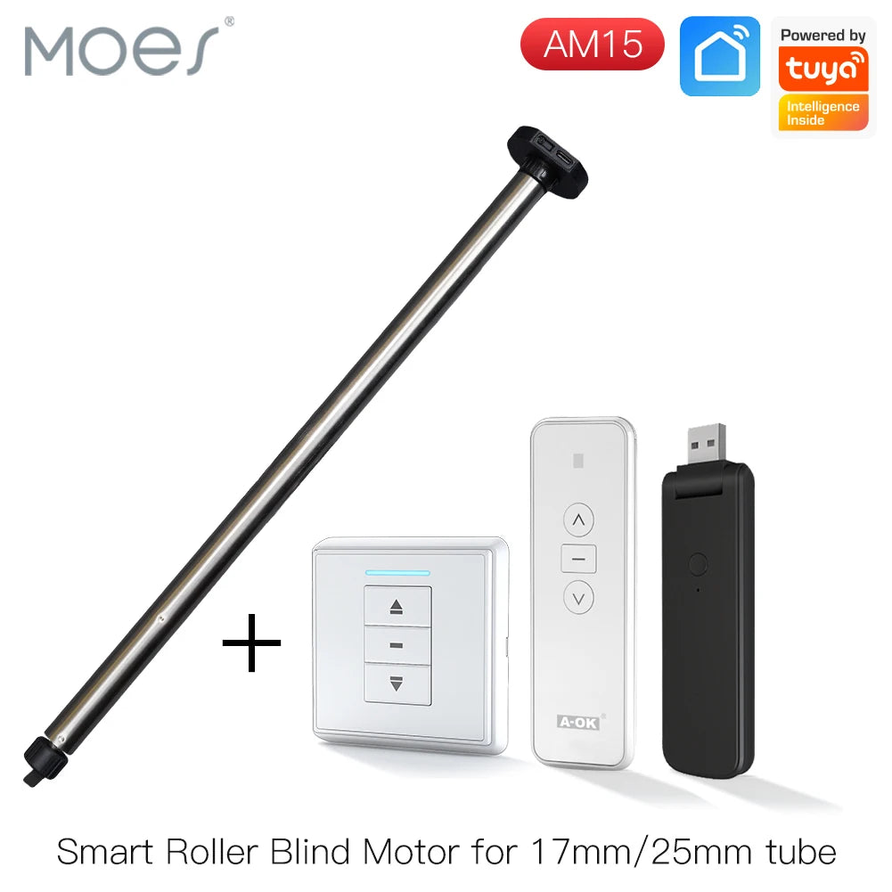 motrice store roulant électrique interrupteur télécommande hub rf moderne gris métallisé lisse opaqué