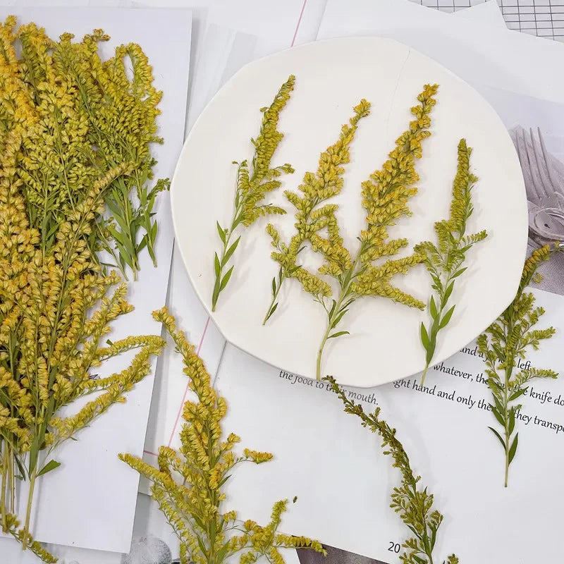 fleurs séchées naturelles vertes jaunes décoration maison anniversaire baby shower pendaison crémaillère