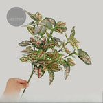 feuilles artificielles vertes rouges blanches modernes décoration intérieure maison 32cm 46cm 10 pièces