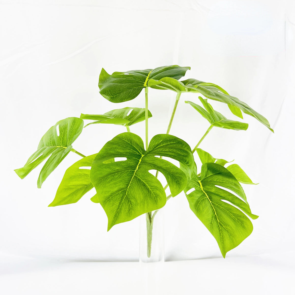 plante artificielle décorative feuilles vertes blanches rouges salon maison moderne naturel