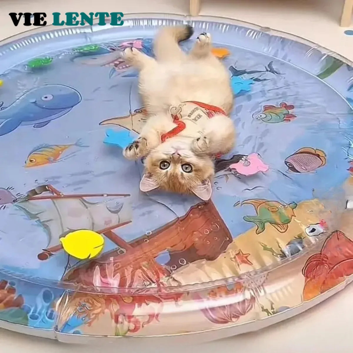 tapis rond sous marin enfants animaux bleu motifs poissons coraux semi transparent 60x60cm 100x100cm