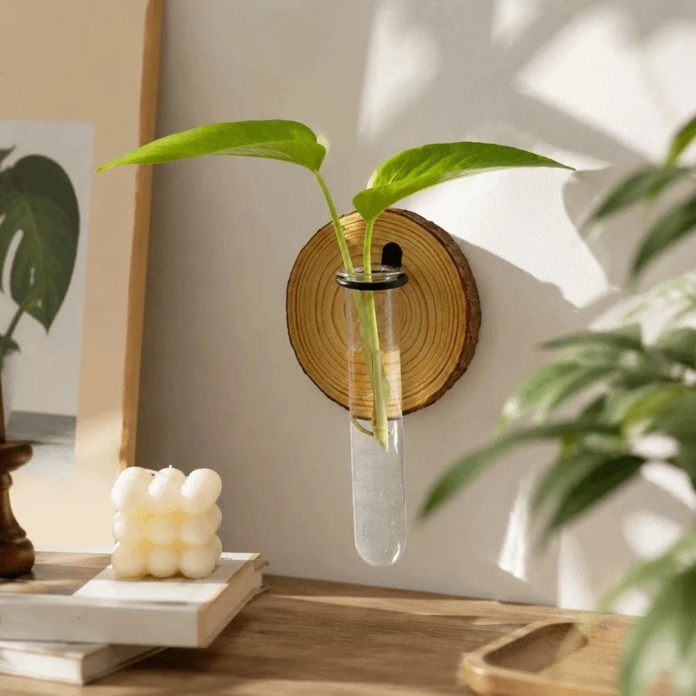 vase mural transparent moderne rustique bois décoration intérieure plantes hydroponiques