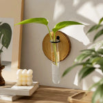 vase mural transparent moderne rustique bois décoration intérieure plantes hydroponiques
