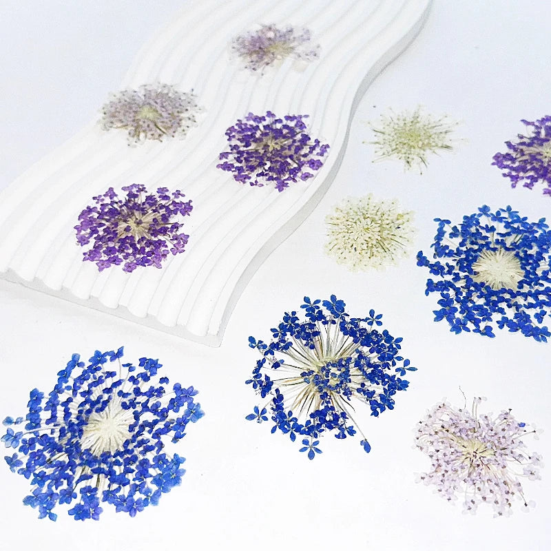 fleurs séchées violettes bleues décor maison anniversaire baby shower bricolage peinture décoration naturelle artificielle