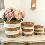 panier bohème cylindrique texture fibreuse strié beige blanc intérieur transparent plantes fleurs