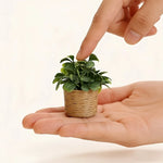 décoration intérieure pot plante artificielle miniature feuilles vert texturées pot tressé rustique