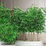 Branche de bambou porte-bonheur blanc lait Ombre Interieur