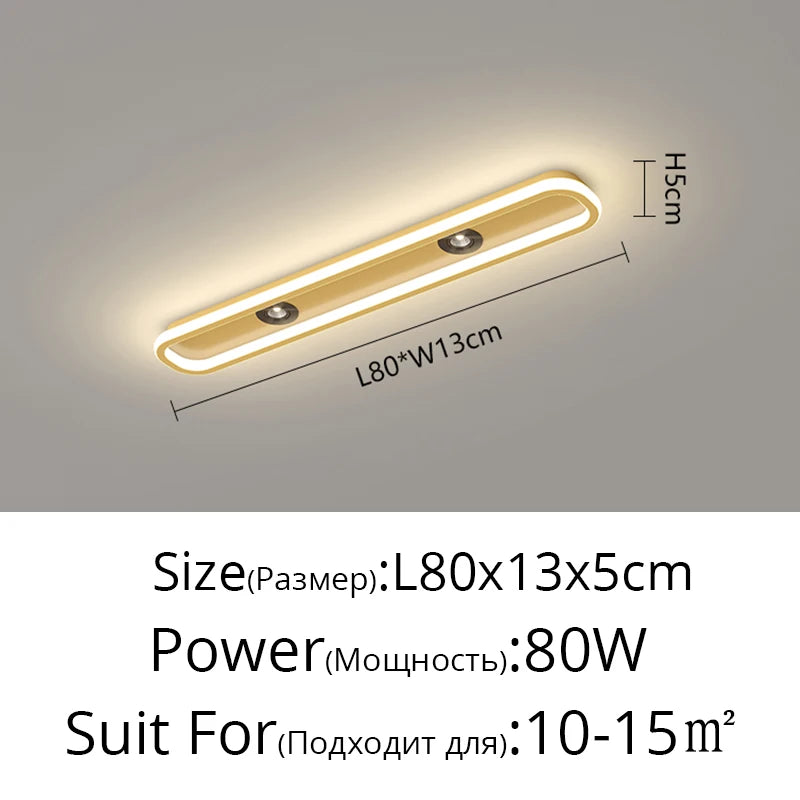 plafonnier led moderne ultra mince bande lumineuse chambre couloir blanc flux lumineux élevé télécommande
