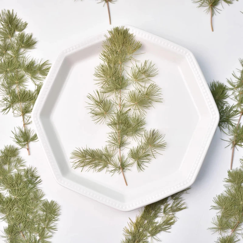 fleurs séchées naturelles vertes feuilles fines rustiques décoration intérieure maison événements festive arrangement photo