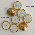 ampoules led dorées blances modernes 6w tricolore warm 2pcs 3pcs 5pcs
