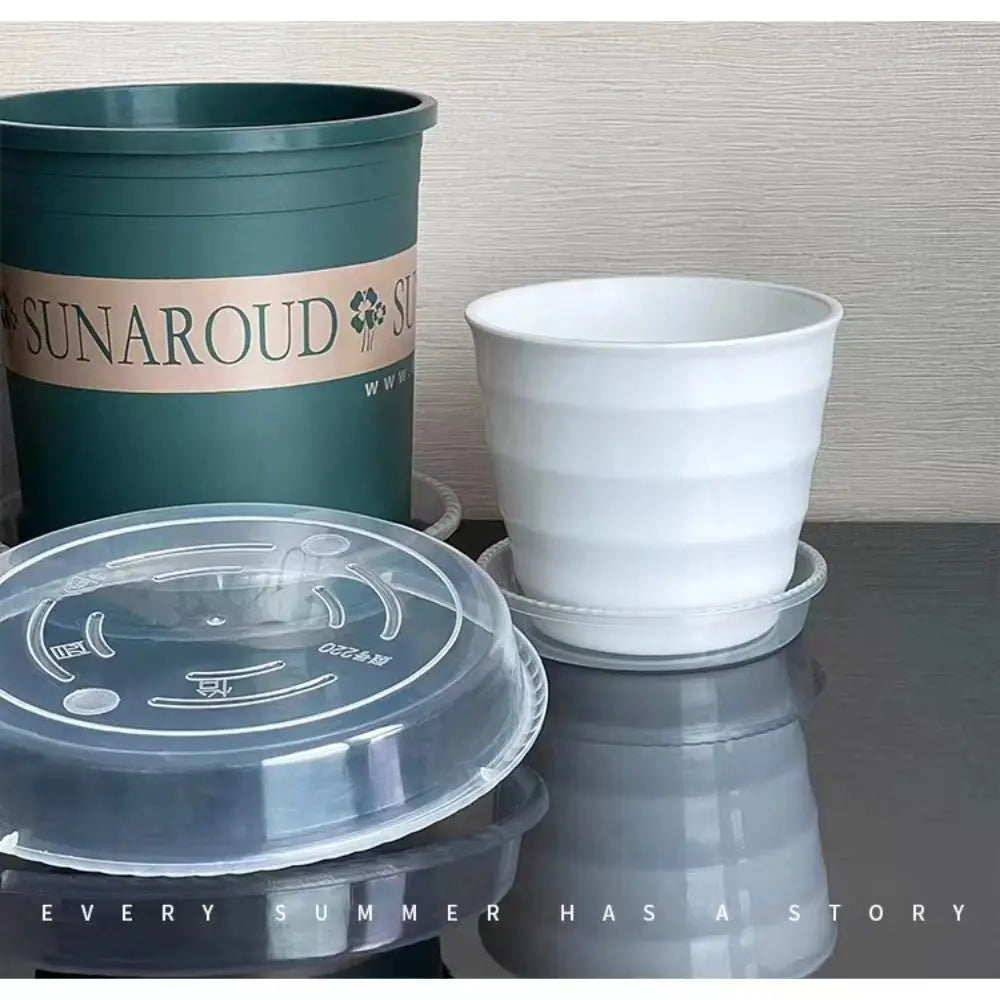 plateau fleur transparent moderne rayures ondulées différentes tailles plantes maison set