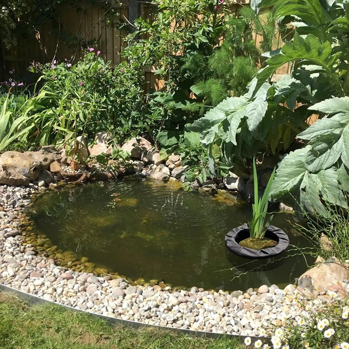 jardinière flottante tissu texturé pots noirs plantes aquatiques étang rustique naturel