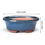pots fleurs céramique bleu clair moderne succulentes décoration plante verte texture granuleuseintérieur brun