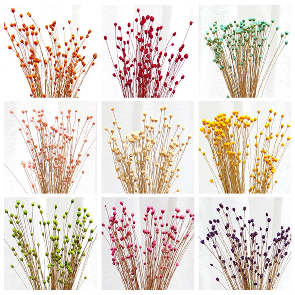 décoration maison bouquet fleurs séchées naturelles jaune blanc bleu rose vert orange rouge violet