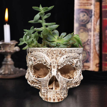 pot plante crâne halloween succulentes relief sculpté aspect vieilli gothique aztèque maya gravier blanc