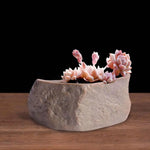 pots céramique succulentes aspect pierre naturelle moderne rustique drainage marron gris