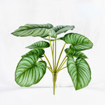 plante artificielle décorative feuilles vertes blanches rouges salon maison moderne naturel