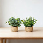 décoration intérieure pot plante artificielle miniature feuilles vert texturées pot tressé rustique
