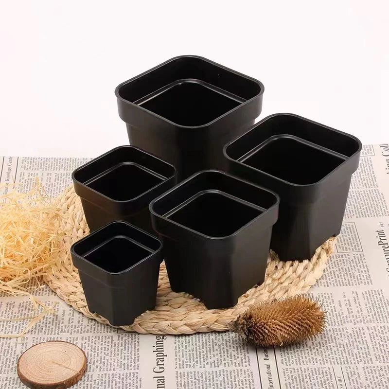 pots plantes succulentes blanc noir modernes décoration jardinière carrée drainage