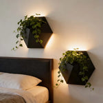 décoration murale moderne cache plantes hexagonal noir fixations plantes