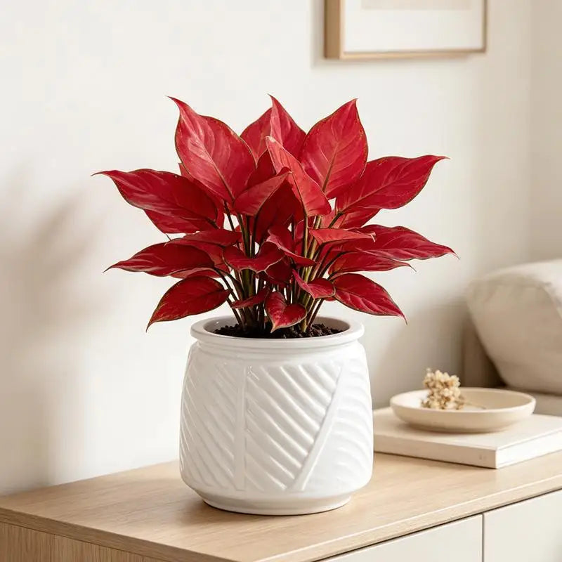 pots fleurs auto arrosants plantes vertes moderne geometrie feuilles ovales plastique blanc
