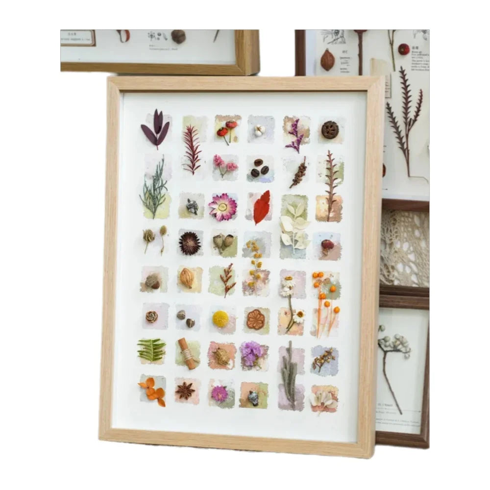 cadre photo plantes séchées fleurs collection moderne minimaliste bois naturel blanc