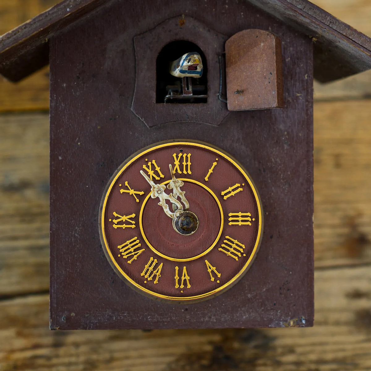 horloge murale cuckoo vintage rustique chiffres romains oiseau pendule bois texturé chambre salon