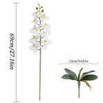 décoration intérieure orchidées artificielles blanc rose modernes 69cm hauteur anniversaire mariage