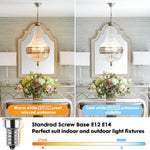 Ampoule LED filament transparente jaune 2700K 6500K E12 E14 25000h moderne vintage