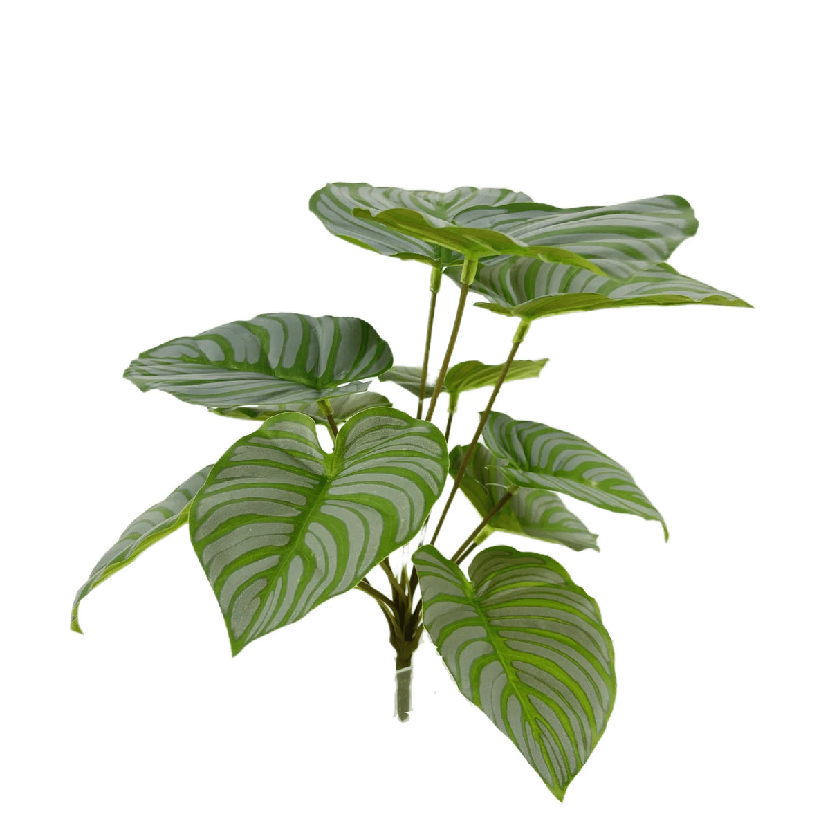 plante artificielle décorative feuilles vertes blanches rouges salon maison moderne naturel