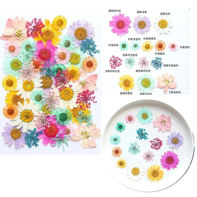 fleurs séchées multicolores variées naturelles scrapbooking décoration maison artisanat DIY
