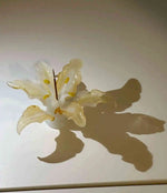 fleur artificielle blanche fleur rose translucide fleur bleu translucide fleur jaune translucidécoration salon papier