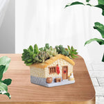 pots plantes résine imitation pierre succulentes figurine coq décoration maisonnette rustique miniature