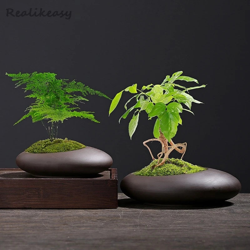 Pot bonsaï porcelaine marron foncé minimaliste gravier support bois 19.6x13.5x5.5cm