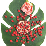 forme coccinelle adhésives rouges noires blanches décoration anniversaire mariage fêtes enfants