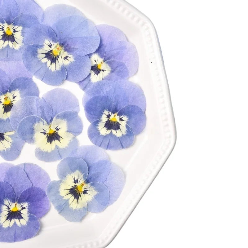 fleurs séchées violettes naturelles simples décoration maison anniversaire baby shower