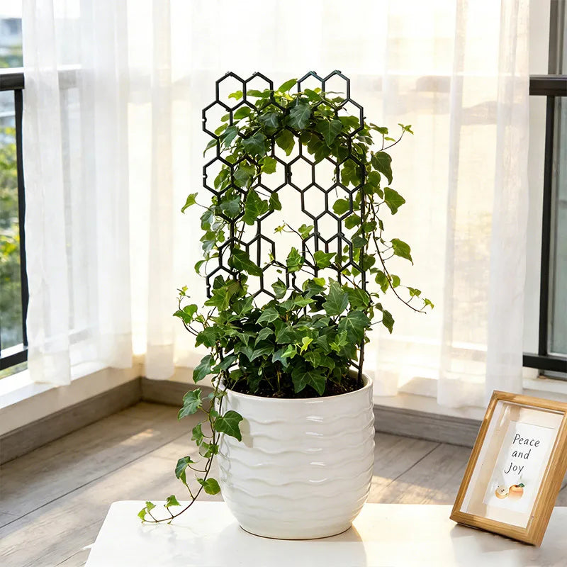 supports plante grimpante balcon treillis fleur poteau pothos rose hexagonnel décoration jardin moderne minimaliste