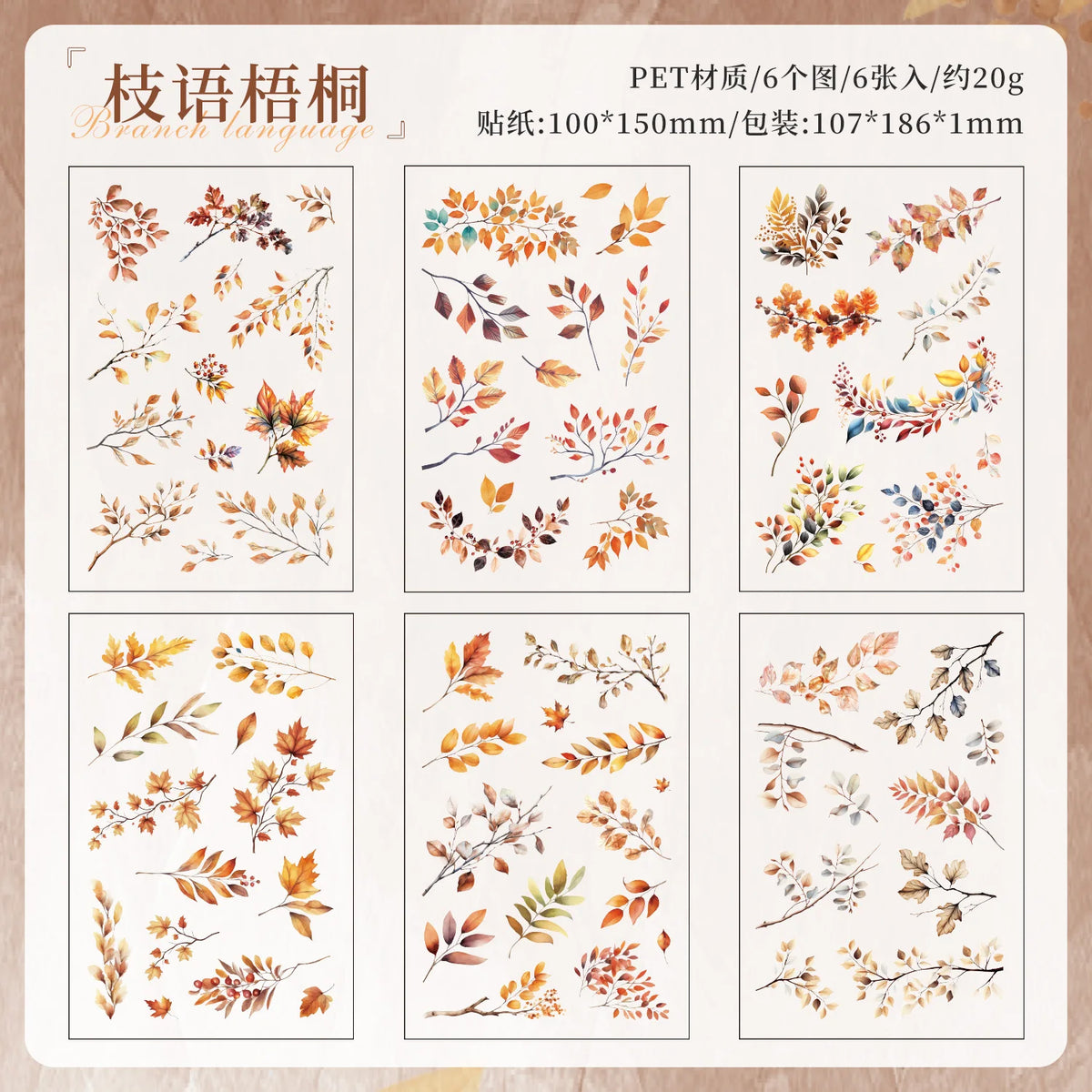 autocollants transparents feuilles branches diverses couleurs adhésif scrapbooking collage diy journal
