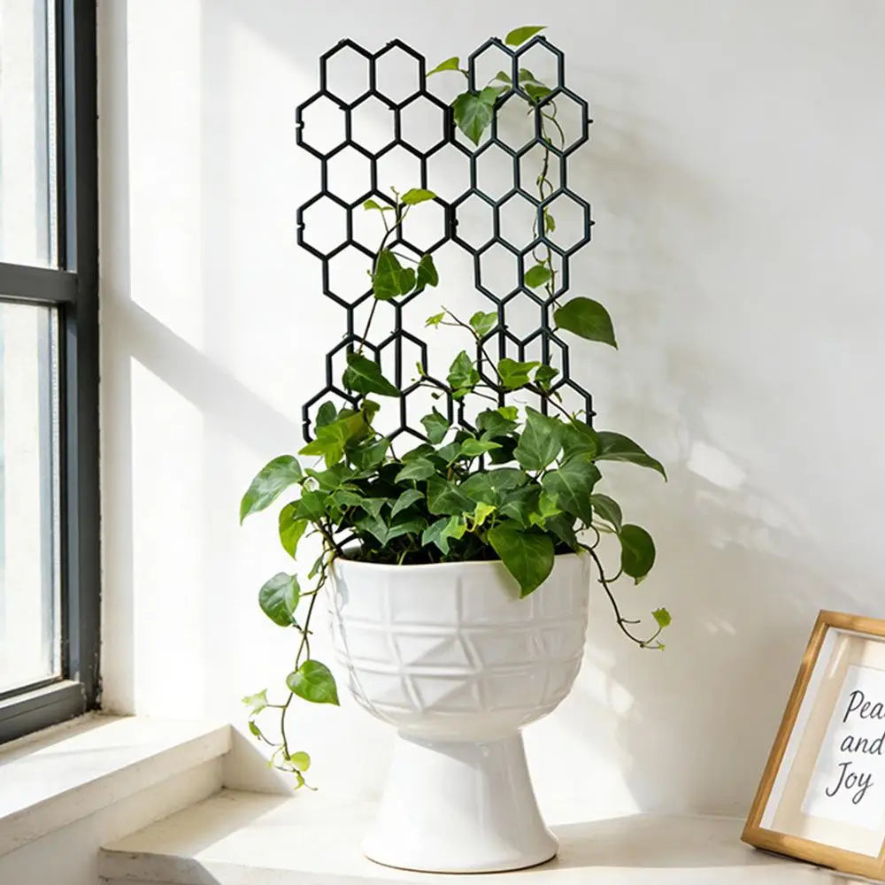 grille plantes hexagonale vert foncé moderne fixation jardin plastique