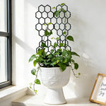 grille plantes hexagonale vert foncé moderne fixation jardin plastique