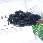 plumes artificielles pelucheuses couleurs vives décoration maison anniversaire baby shower festive table arrangementintérieur
