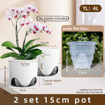 pots orchidées modernes blancs transparents 15cm 12cm 10cm aircone racines rebondissement