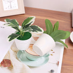 plantes artificielles vertes pot feuilles simples moderne décoration intérieure table ordinateur