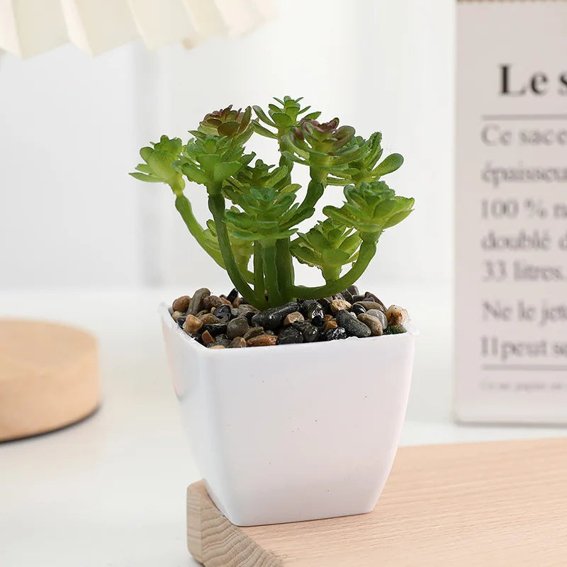 plantes succulentes artificielles vert rouge marron moderne minimaliste intérieur décoration maison