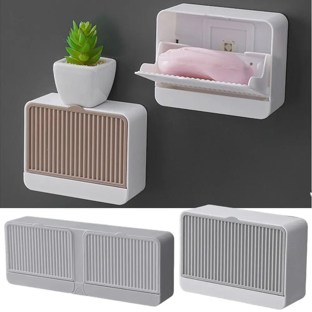 boîte savon moderne blanche rayée adhésive petite plante artificielle