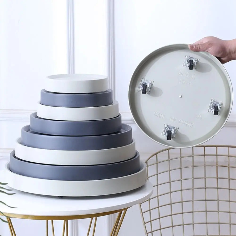 assiettes plates modernes plastique bleu marine gris blanc clips différentes tailles