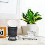 pots fleurs transparents gris rayures verticales moderne arrangement floral intérieur auto arrosage bambou porte